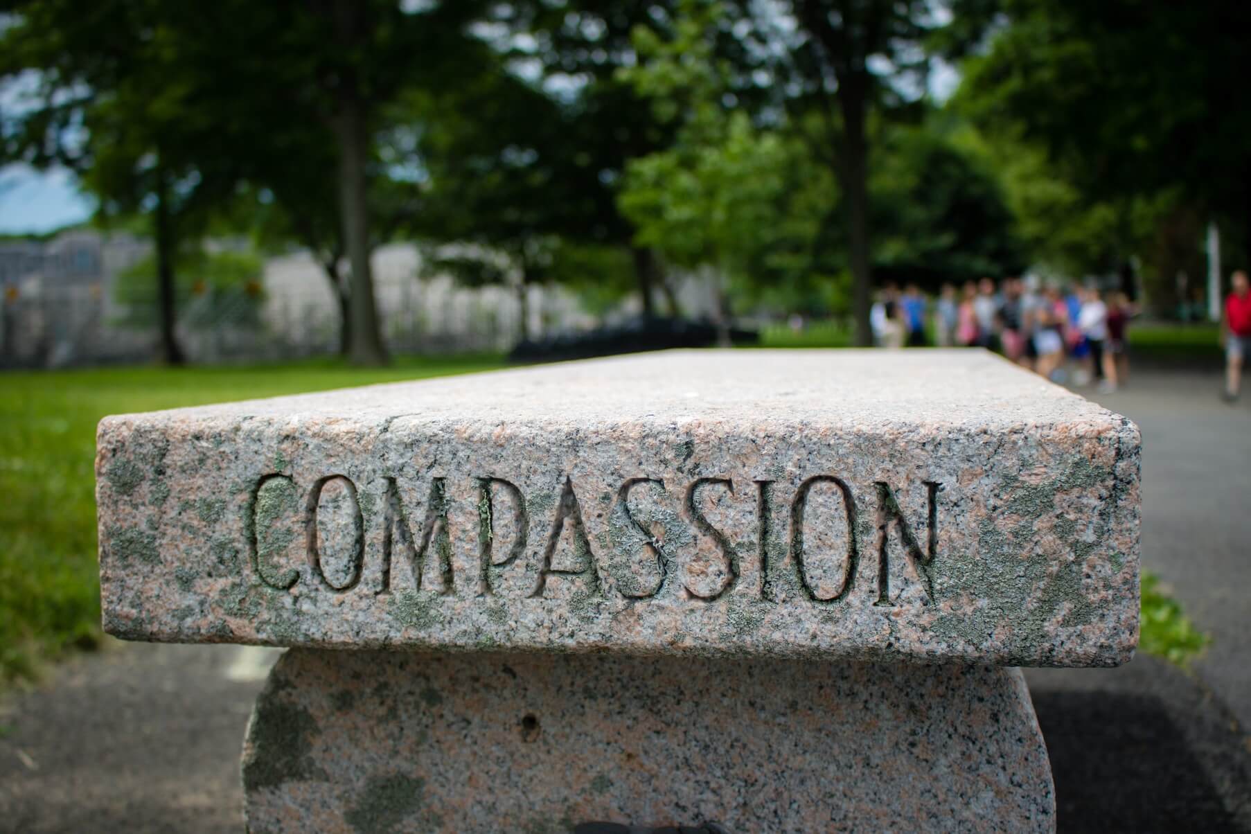 the word compassion engraved on a bench