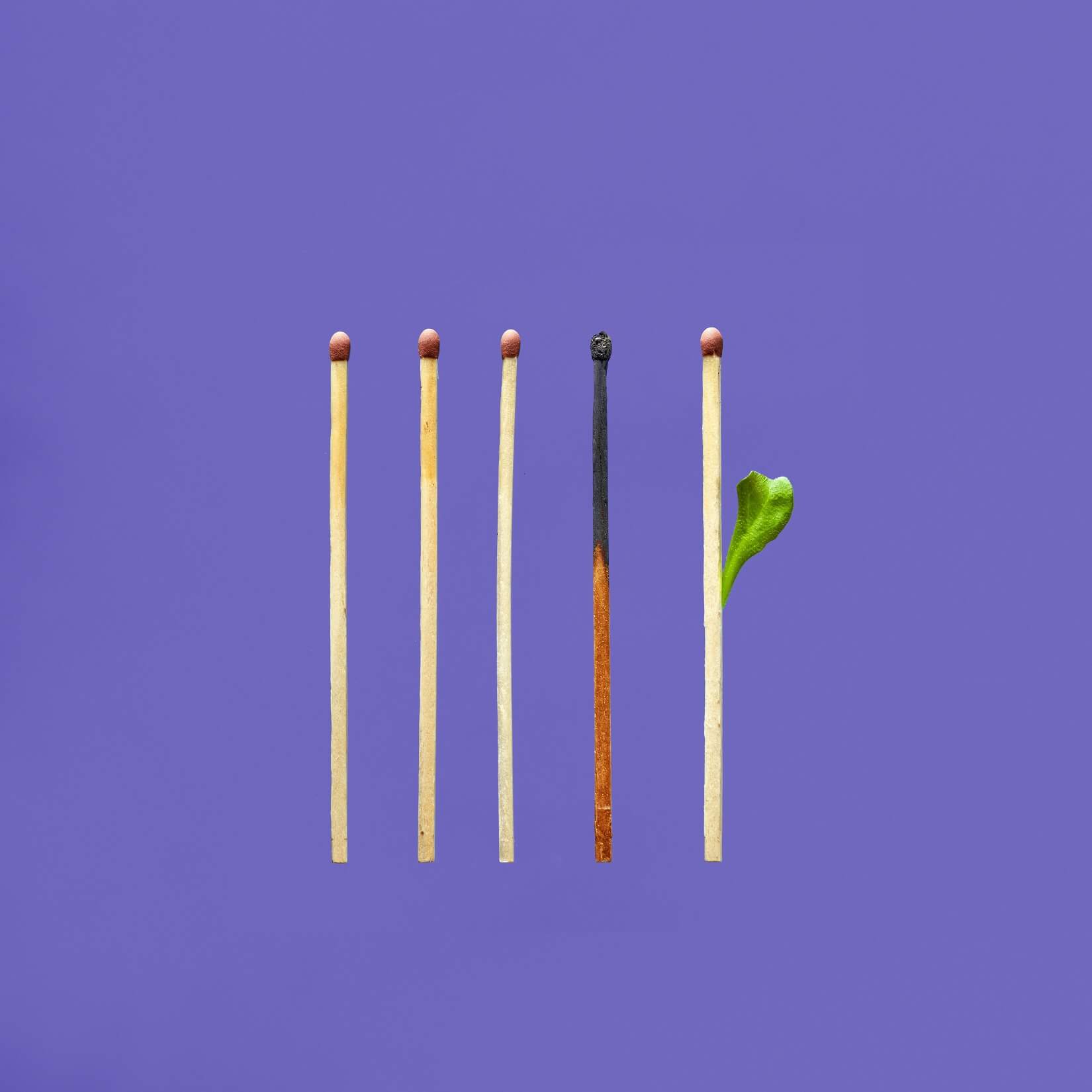 image of four matches burning out to show How to avoid burnout as an entrepreneur